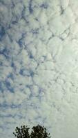 foto de un nube en un azul cielo