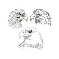 A set of Eagle vector illustration