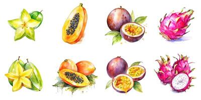 Set of watercolor tropical fruits isolated on white background dragon fruit, papaya, passion fruit, carambola. photo