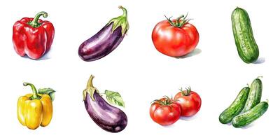 Set of watercolor vegetables isolated on white background eggplant, tomato, cucumber, bell pepper. photo