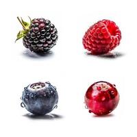 Macro shot collage of an ideal cranberry, blueberry, blackberry, raspberry isolated on a white background, with water drops, photo