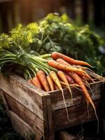 Ripe carrots in a wooden box on a background of the garden. Space for text, vertical, mockup, photo