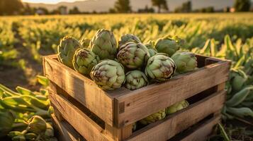 Organic artichoke in a wooden box on the field. Space for text, mockup, photo