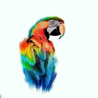 Ara parrot in a watercolor style on a white background close-up photo