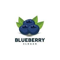 Blueberry Logo, Garden Farm Fresh Fruit Vector, Elegant Simple Design, Symbol Illustration Template vector