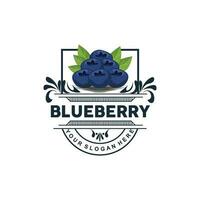 Blueberry Logo, Garden Farm Fresh Fruit Vector, Elegant Simple Design, Symbol Illustration Template vector