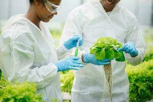 Biologist puts sprout in test tube for laboratory analyze. Two scientists stand in organic farm. check, laboratory in greenhouse. photo