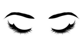 Realistic female closed eyes with eyebrows and long eyelashes. vector