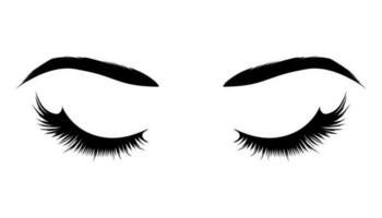 Realistic female closed eyes with eyebrows and long eyelashes. vector