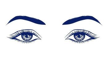 Realistic female eyes with eyebrows and long eyelashes. The look of a girl on a white background. vector