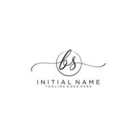 BS logo Initial handwriting or handwritten for identity. Logo with signature and hand drawn style. vector