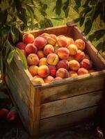 Ripe peaches in a wooden box on a background of the garden. Space for text, vertical, mockup, photo