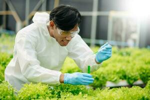 Biologist puts sprout in test tube for laboratory analyze. Two scientists stand in organic farm. check, laboratory in greenhouse. photo