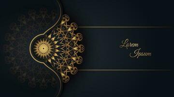 luxury background  with mandala ornament vector