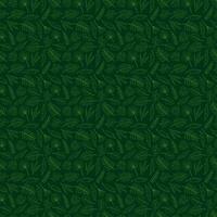 Seamless pattern with 13 different palm leaves on dark green background. Doodle color vector illustration. photo
