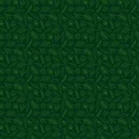 Seamless pattern with 13 different palm leaves on dark green background. Doodle color vector illustration. photo