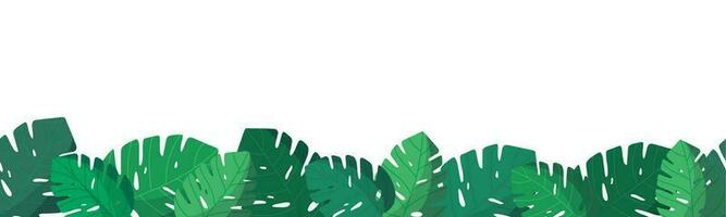 Tropical seamless banner with monstera leaves. Rainforest. Summer tropical flat leaf. Summertime style. Vector illustration