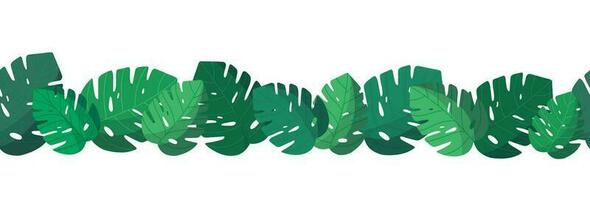 Summer tropical gren leaves. Tropical seamless banner with monstera leaves. Rainforest. Summertime style. Vector illustration