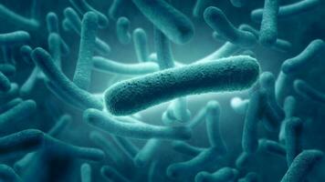 3D rendering, Bacteria seen under a scanning microscope. photo