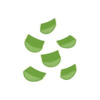 Fresh Cut Aloe Vera Illustration Logo vector