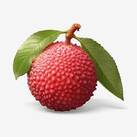 red lychee on white background. photo