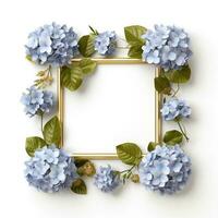 blue hydrangea floral square frame on white background photo
