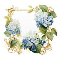 hydrangea floral square frame on white background photo