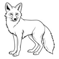 Fox coloring page for kids vector