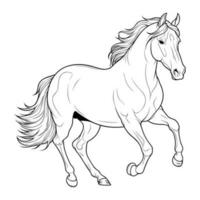 Horse coloring page vector