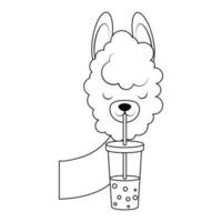 Alpaca with a drink with a straw coloring page vector