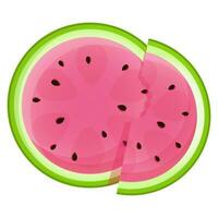 Juicy appetizing watermelon with a slice vector