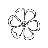 vector outline black and white flower isolated on white background