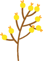 Branch with berries for decoration. png