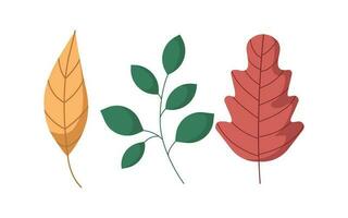 Autumn leaves set, isolated on white background. Set of colorful autumn leaves. Set of yellow, green and red leaves. Autumn leaf design element. Objects for design, cards, banners, flyer vector