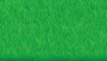 Green Grass Texture Illustration Background vector
