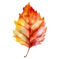 Autumn leaves. Watercolor illustration isolated on transparent background. Generative AI png