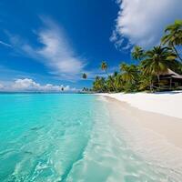 Beautiful beach with palms and turquoise sea in Jamaica island photo