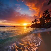 coco palm on tropical paradise island dream beach photo