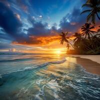 coco palm on tropical paradise island dream beach photo