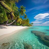 Beautiful bright sunset on a tropical paradise beach photo