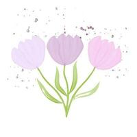 Pink watercolor tulips bouquet on white background vector