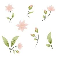 Pink watercolor flowers Botanical collection vector