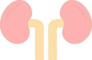 Kidney Vector Icon Design