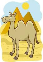 camel in Egyptian desert with pyramids. Vector cartoon illustration of landscape with, yellow sand dunes, ancient pharaoh tombs and hot sun in sky