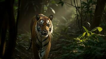 un Bengala tigre, acecho sus presa en el corazón de el selva foto