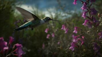 A hummingbirds frenzied flight amongst the flowers photo