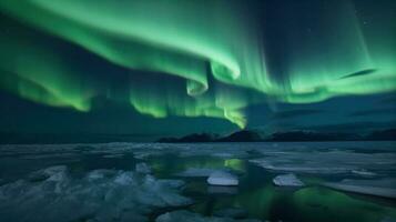The Northern Lights dancing across the Arctic sky photo