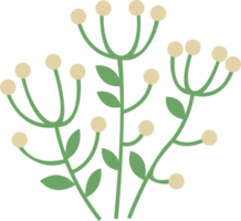 floral ramo de flores ilustración. png con transparente antecedentes