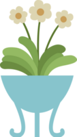 House plant, flowers in a vase. PNG with transparent background