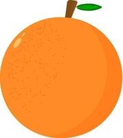 Ilustración de vector de fruta naranja